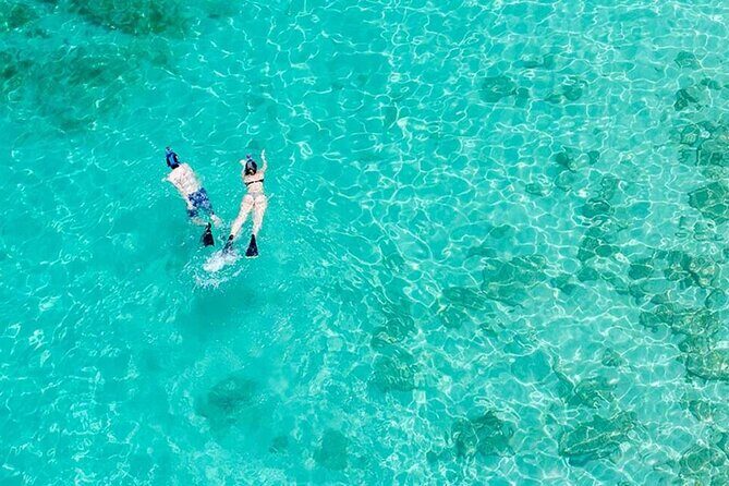 Half Day Icacos Island with Roundtrip Transport from San Juan - Key Things I’d Highlight Before You Book Icacos