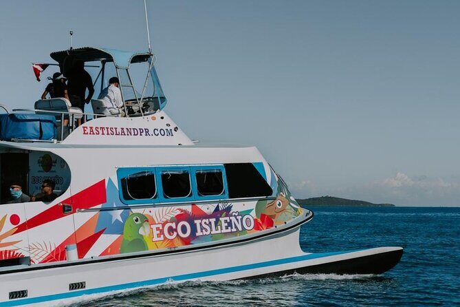 Half Day Icacos Island with Roundtrip Transport from San Juan - Who This Icacos Tour Fits Best