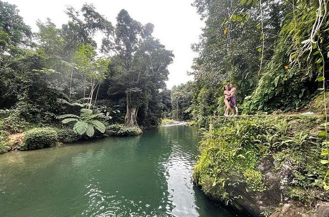 Half-Day Rainforest Tour with Transport from San Juan - The interpretive rainforest hike: what you’ll actually notice