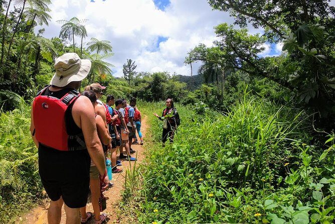 Half-Day Tour: El Yunque Rainforest and Waterslide Adventure - Why This El Yunque Half-Day Feels Worth Paying For