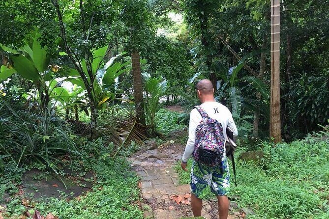 Half-Day Tour: El Yunque, Waterslides, and Luquillo Beach - Getting There From San Juan: Pickup and Comfort Matter