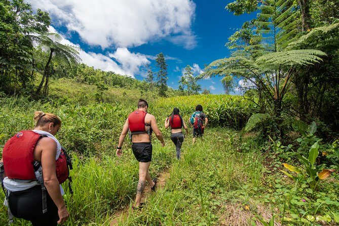 Hike El Yunque Rainforest and Kayak Bio Bay Combo Tour - Key highlights worth your attention