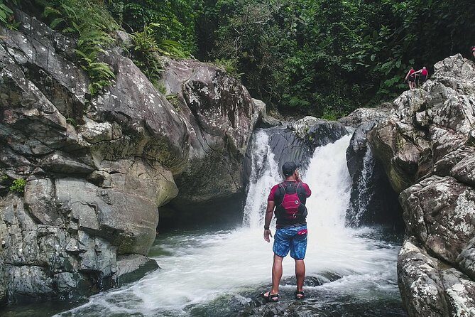 Hike El Yunque Rainforest and Kayak Bio Bay Combo Tour - What You’re Really Paying For (and why it’s fair at $172)