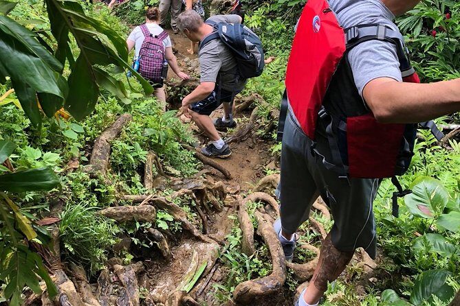 Hike El Yunque Rainforest and Kayak Bio Bay Combo Tour - Footwear and packing: the small things that save your day