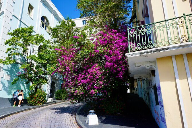 Historical Walking Tour of Old San Juan - Guides can make or break it: what the best moments sound like