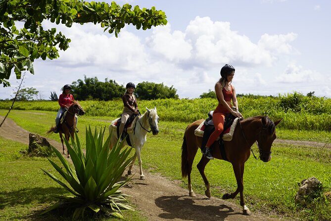 Horseback Riding Tour at Private Ranch - Key things to know before you saddle up