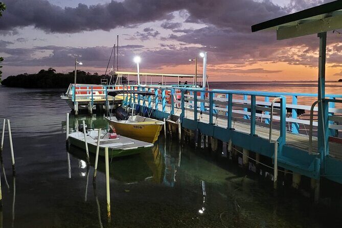 La Parguera Bio Bay Boat Ride and Swimming w/ San Juan Transport - Moon cycle expectations: how to choose the night