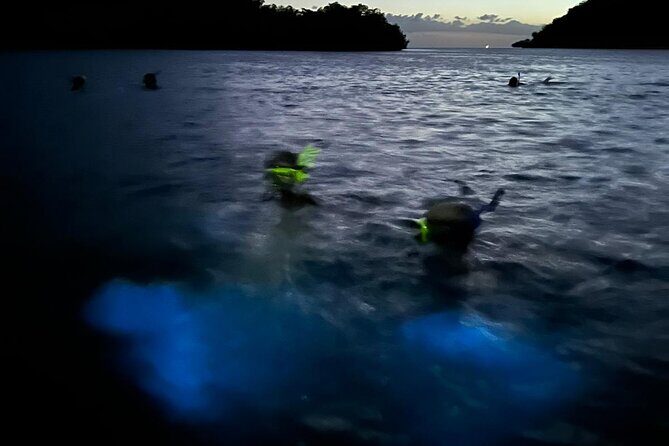 La Parguera Bio Bay Boat Ride and Swimming w/ San Juan Transport - Value check: is $54.99 a good deal?