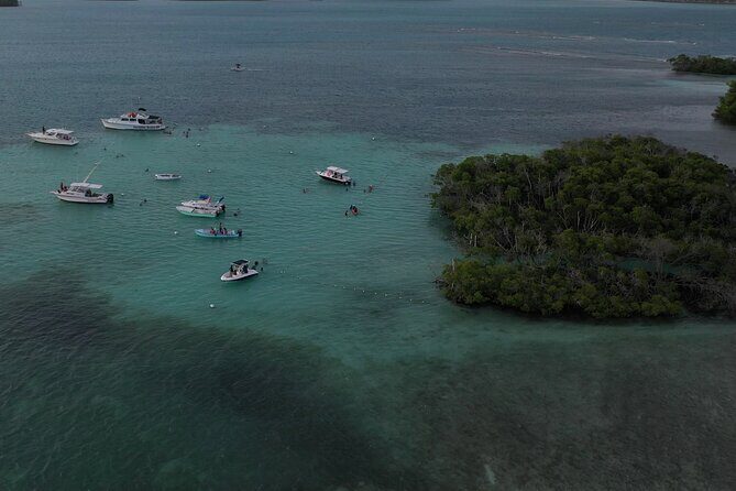 La Parguera Glowing Bioluminescent Bay Boat Tour from San Juan - Pickup, small-group size, and why the van ride feels smoother
