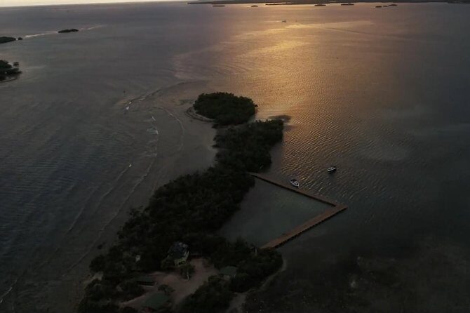 La Parguera Glowing Bioluminescent Bay Boat Tour from San Juan - The glowing bay swim: how to get the best results in the water