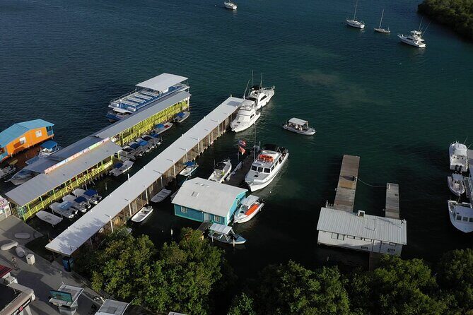 La Parguera Glowing Bioluminescent Bay Boat Tour from San Juan - Price and value: is $220 per person worth it?