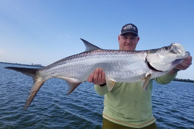 Light Tackle Tarpon & Snook Fishing Charter - Tarpon fishing reality: bites, patience, and jump-offs