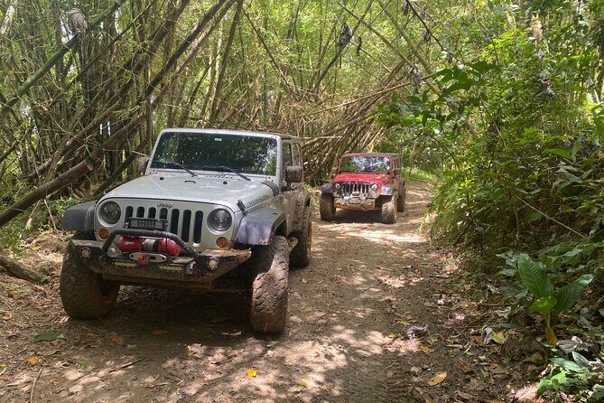Off-Road Jeep Adventure from Carolina - Key things that make this Jeep adventure worth it