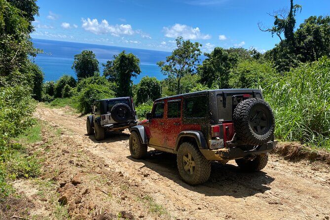 Off-Road Jeep Adventure from Carolina - Jungle trails plus a real off-road Jeep, not a tame ride