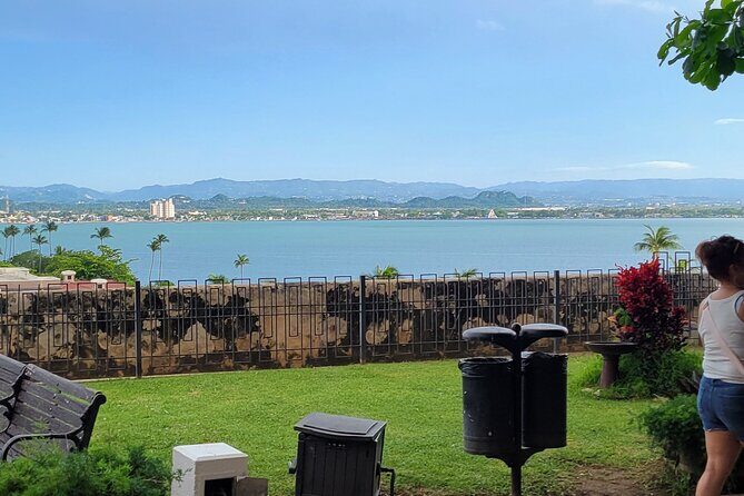 Old San Juan Walking Tour - From Plaza Colón to La Puerta de San Juan: Streets With Purpose