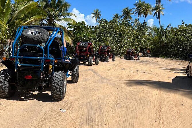 Piñones Beach Buggy + El Yunque Waterfall Adventure - Timing and logistics: how the 6 hours likely feels