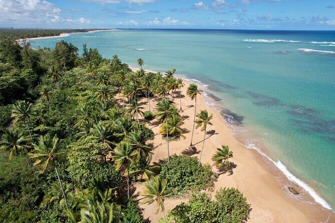 PR Chinchorreo-Beach and Bar Hopping Tour - Key Highlights Worth Booking For