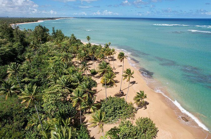PR Chinchorreo-Beach and Bar Hopping Tour - Getting Your Money’s Worth: Is $135 Fair for This Mix?