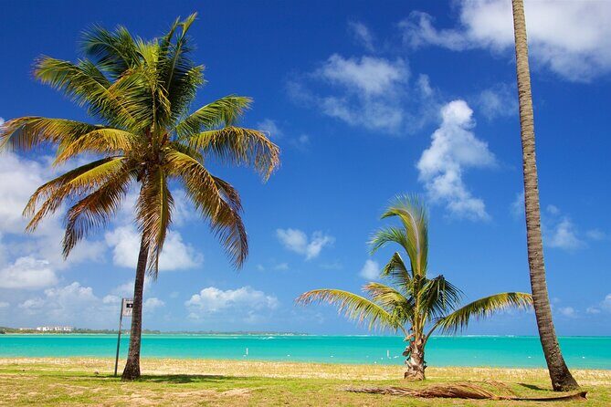 PR Chinchorreo-Beach and Bar Hopping Tour - Timing, Group Size, and How to Pack Smart