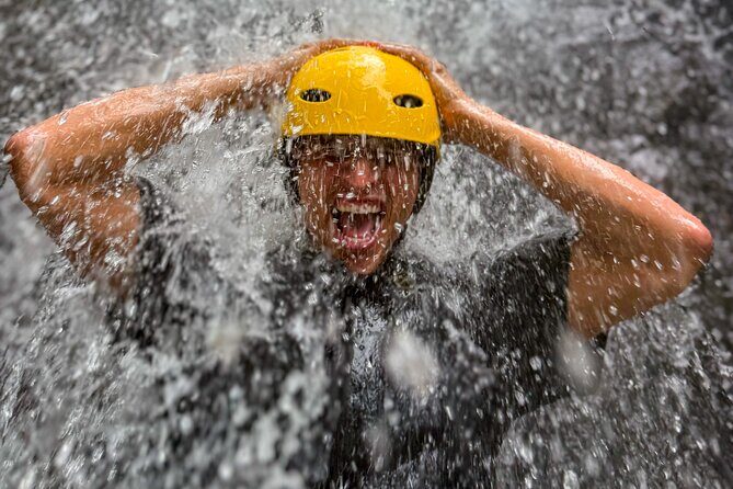 Private El Yunque Half-Day Tour with Transport - Key highlights you’ll care about