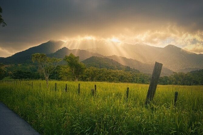 Private El Yunque Half-Day Tour with Transport - What’s included, and why that’s good value