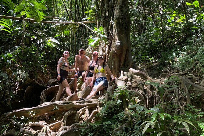 Private El Yunque Rainforest Day Tour with Transport - Why this private El Yunque tour feels different