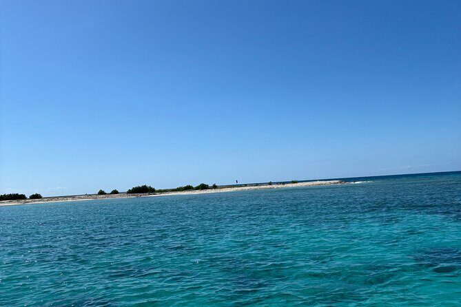 Puerto Rico: Bio Bay Swim and Sunset Charter or Late night tour - Key Things I’d Focus On