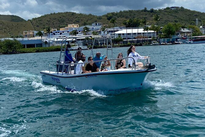 Puerto Rico: Bio Bay Swim and Sunset Charter or Late night tour - Pixie-Dust Biobay and Sunset Sandbar: What Makes This Charter Different?