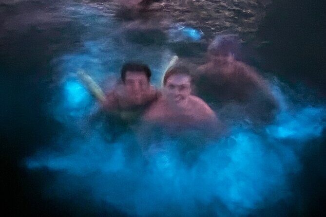 Puerto Rico: Bio Bay Swim and Sunset Charter or Late night tour - Inside Puerto Rico’s Biobay: How the Glow Works in Real Time