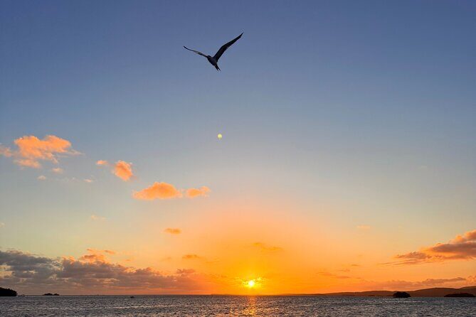 Puerto Rico: Bio Bay Swim and Sunset Charter or Late night tour - Physical Comfort and Group Flow: What to Expect on the Boat
