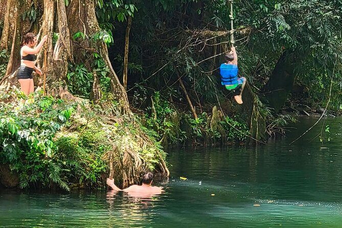 Puerto Rico El Yunque Rainforest with Transportation - Pickup From San Juan: Getting There Without Turning It Into a Project