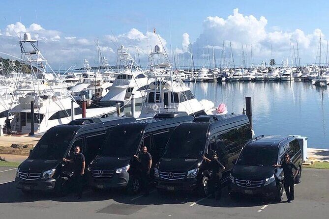 Puerto Rico Island Wide Private Transfers, 11Pax Lux Sprinter Van - Door-to-Door for Cruises: Fewer Stress Points on Disembarkation Day