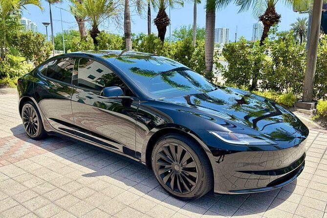 Puerto Rico Island Wide Private Transfers, Tesla 3 Luxury Sedan. - Key Points Worth Noting Before You Go