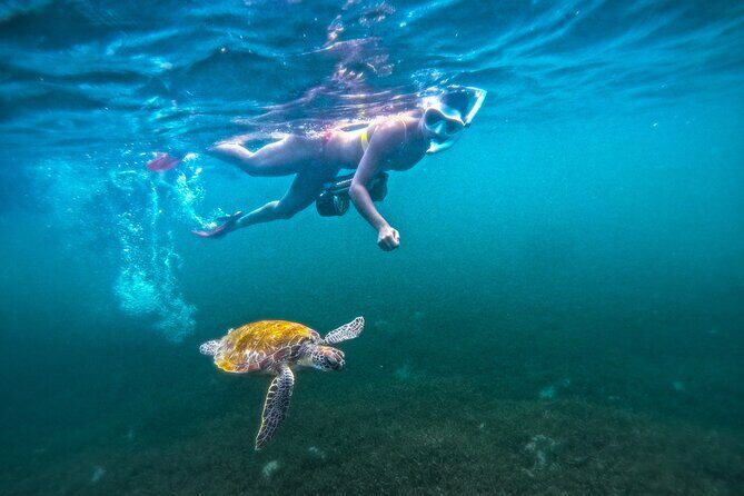 Puerto Rico Jet Snorkel with Turtles and Videos in San Juan - The Gear Fit and Safety Briefing: Where First-Timers Feel Normal
