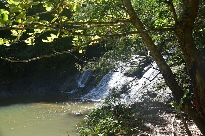 Puerto Rico Waterfall Hiking Tour: Discover Hidden Gems 2.0 - Key things that make this tour worth your time