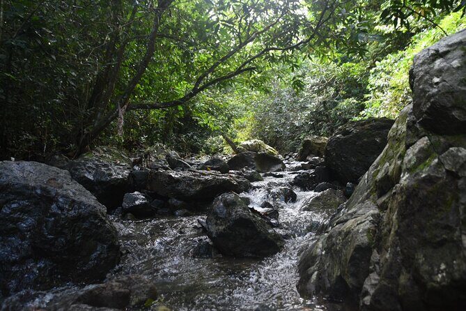 Puerto Rico Waterfall Hiking Tour: Discover Hidden Gems 2.0 - Morning pickup, then quickly into Puerto Rico’s mountains