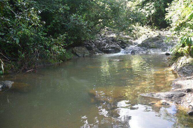 Puerto Rico Waterfall Hiking Tour: Discover Hidden Gems 2.0 - The local restaurant stop: what you’ll pay for and why it matters