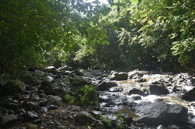 Puerto Rico Waterfall Hiking Tour: Discover Hidden Gems 2.0 - Guides: the difference between a hike and a story