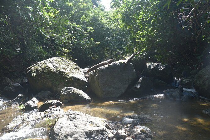 Puerto Rico Waterfall Hiking Tour: Discover Hidden Gems 2.0 - What to bring (and what to skip) for slippery, wet trail reality
