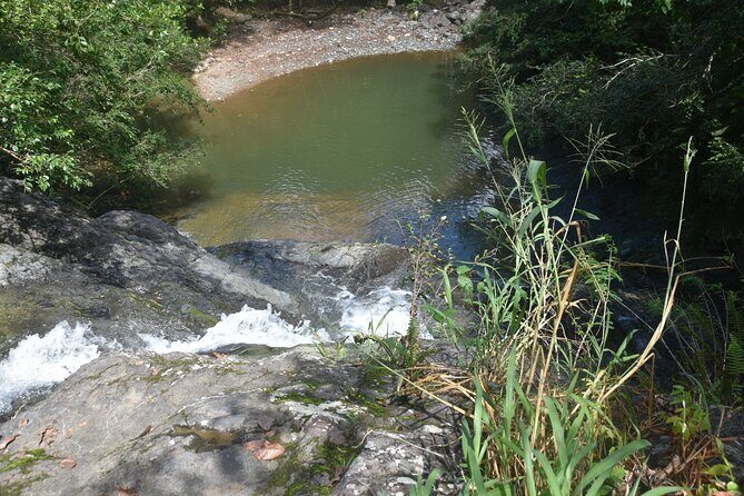 Puerto Rico Waterfall Hiking Tour: Discover Hidden Gems 2.0 - Who should book this waterfall hike—and who should rethink it