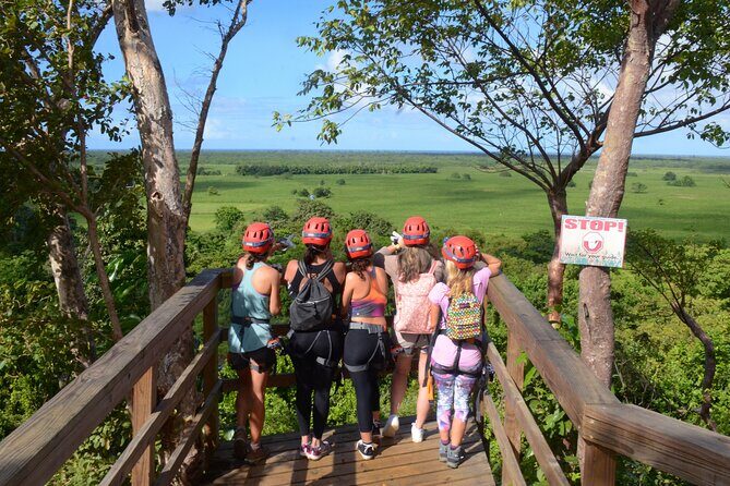 Puerto Rico Ziplining: High-Flying Adventure close to San Juan - The Walk In: Karst Mountains, Treetop Height, and Wildlife Odds