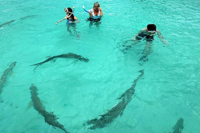 Puerto Rico's Only Private, VIP & Filmed Bio Bay Swim Experience - The Film Factor: Getting Footage You’ll Actually Want to Keep