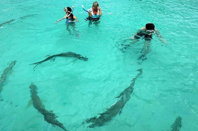 Puerto Rico's Only Private, VIP & Filmed Bio Bay Swim Experience - Back on Shore in La Parguera: Dry Clothes and Dinner Time