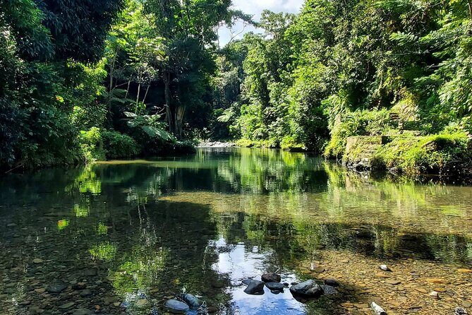 Rainforest and Junglequi Zipline Combo Tour - Why this Junglequí zipline combo fits Puerto Rico so well
