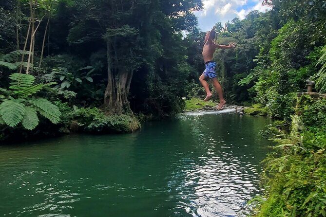 Rainforest and Junglequi Zipline Combo Tour - Price and value: what $200 really buys you