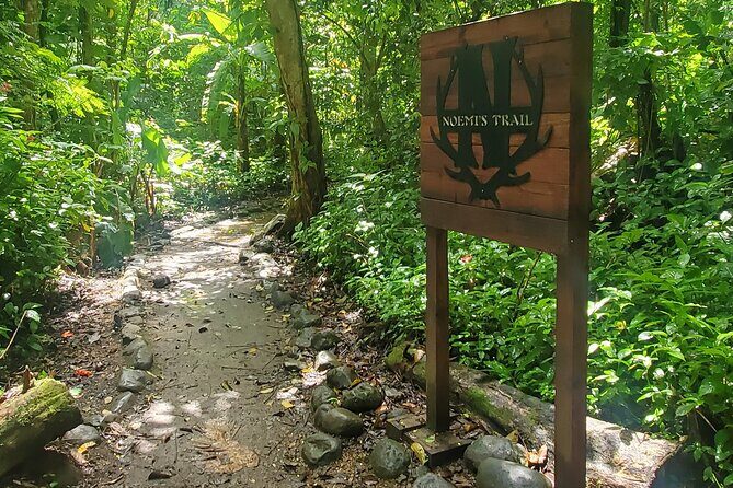 Rainforest and Junglequi Zipline Combo Tour - Who should book this tour (and who might want a different plan)