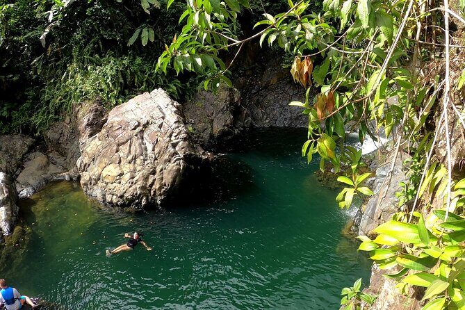 Rainforest Nature Walk & Luquillo Beach Combo - Key Things You’ll Notice on This Tour
