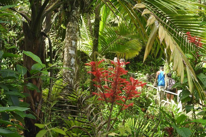 Rainforest Nature Walk & Luquillo Beach Combo - Pickup, Fruit Stand Stops, and Why the Bus Time Matters