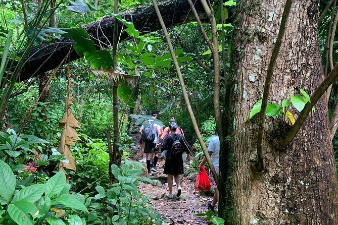 Rainforest Nature Walk & Luquillo Beach Combo - What to Bring (and What to Expect from the River Safety Rules)