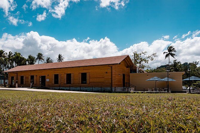Ron del Barrilito Rum Tasting Skip-the-Line Tour - Key things I’d watch for before you go
